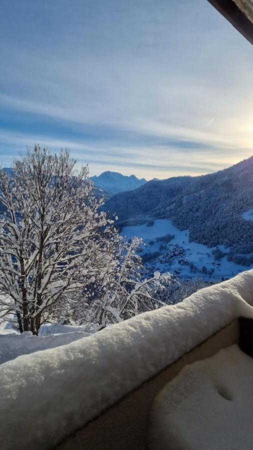 Terrasses Du Morel - A17 - Appart 5 Pers Doucy Bagian luar foto